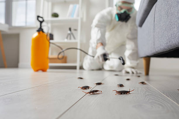 Commercial Kitchen Cockroach Control in Pensacola Station